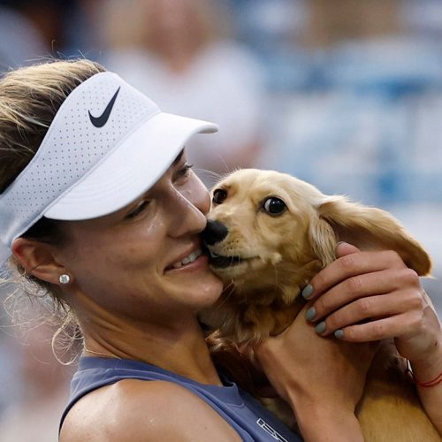 Tennis star Anna Kalinskaya celebrates win with her dog