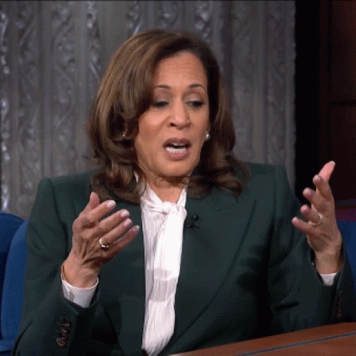 Harris says she wouldn’t ‘pile on’ Biden during her 2024 campaign