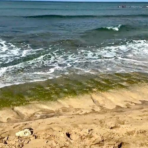 Ocean swells uncover 500-year-old petroglyphs on Oahu’s shoreline